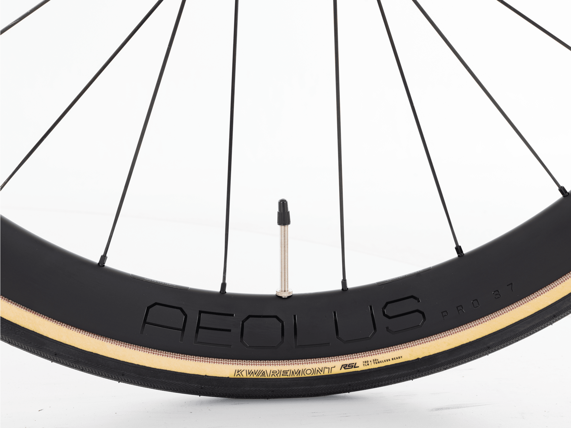 Domane SLR 7 AXS Gen 4 - 2025