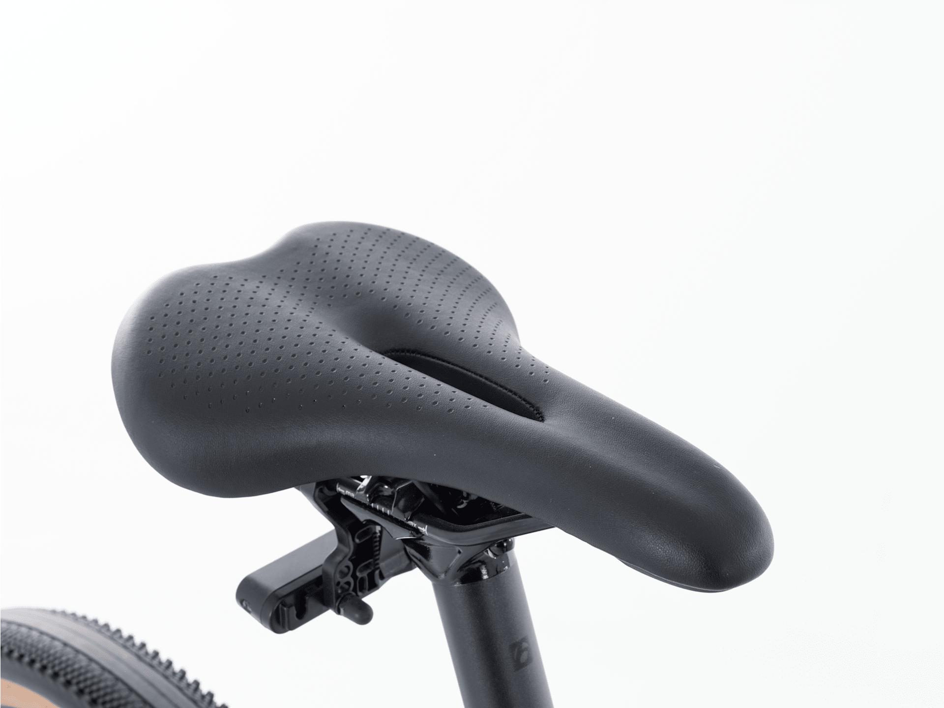 FX+ 1S - 2026, Large