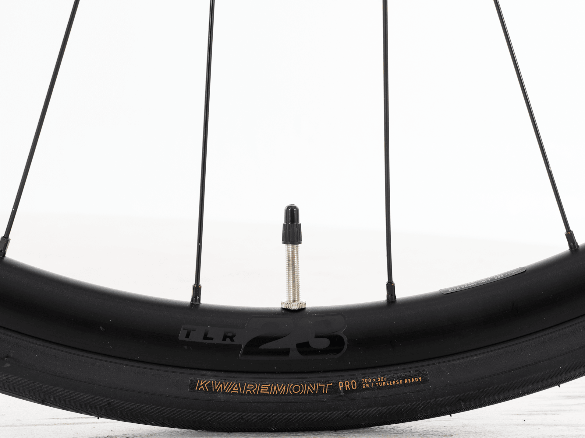 Domane+ ALR 5 - 2026, Medium/Large