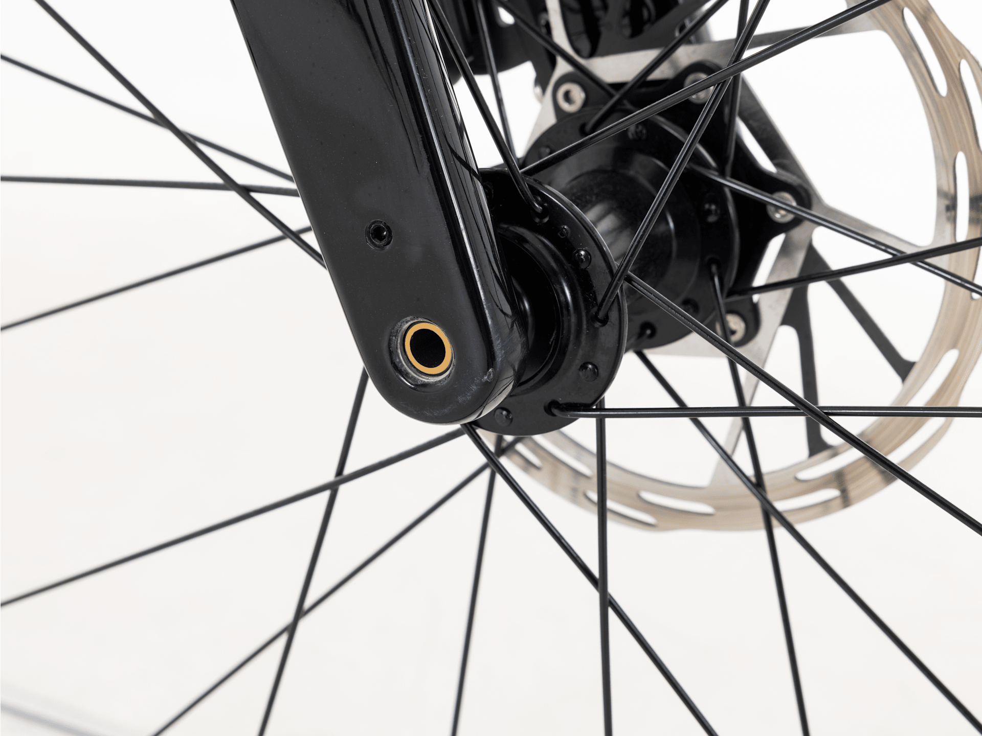 Domane+ ALR 5 - 2026, Medium/Large