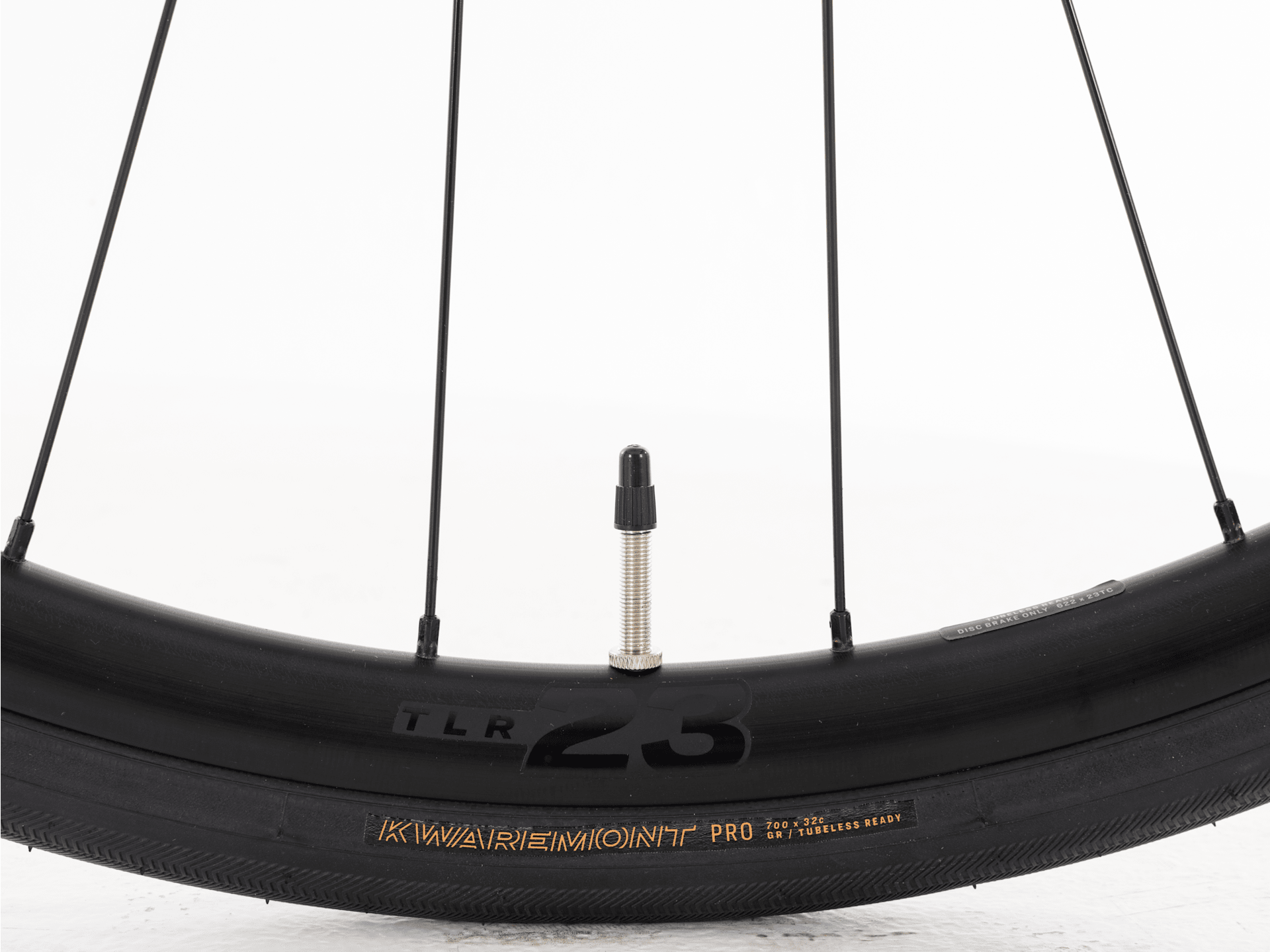 Domane+ ALR 6 AXS - 2026, Medium/Large