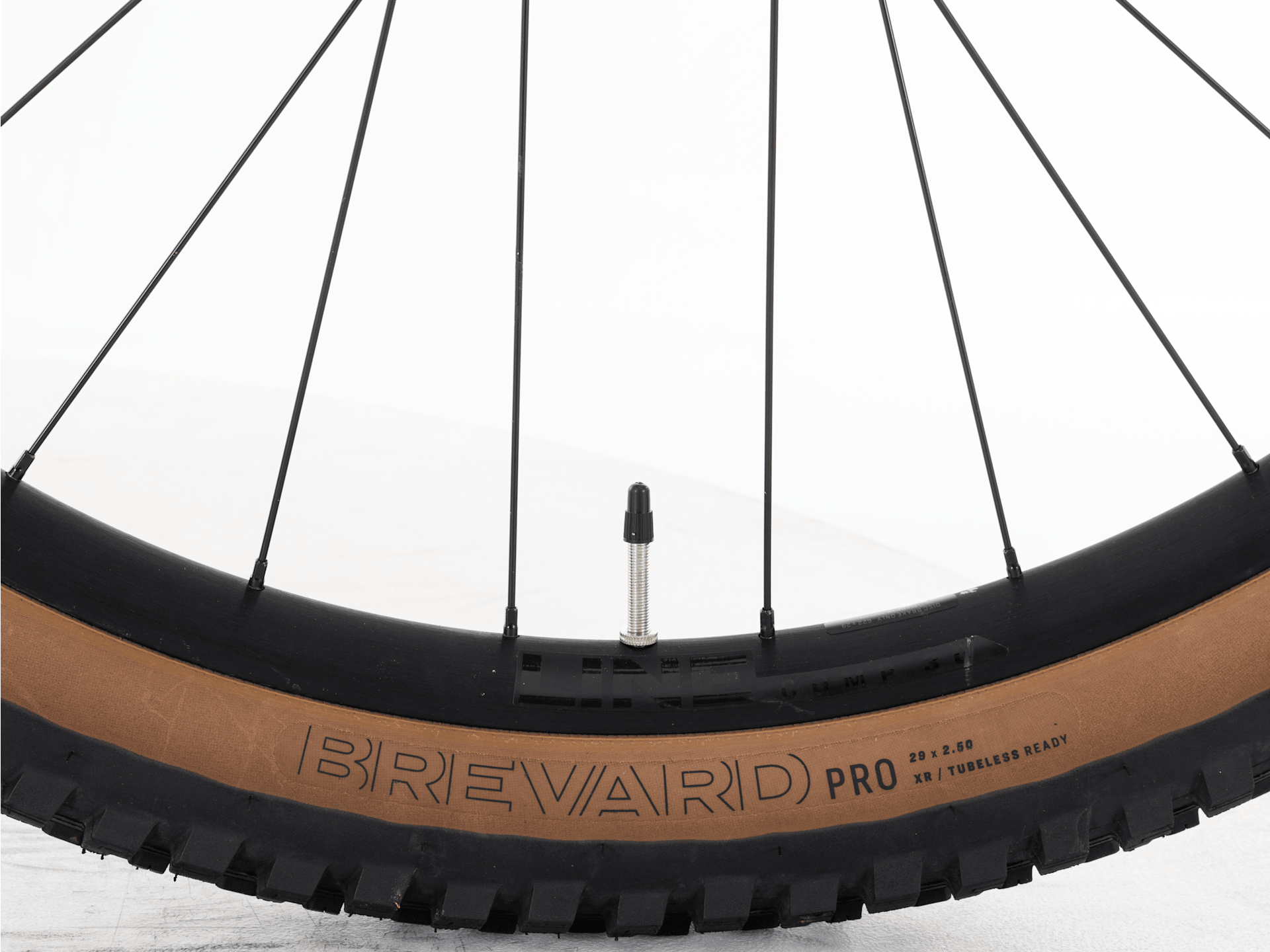 Fuel+ EX 9.7 Gen 2 - 2026, XX-Large