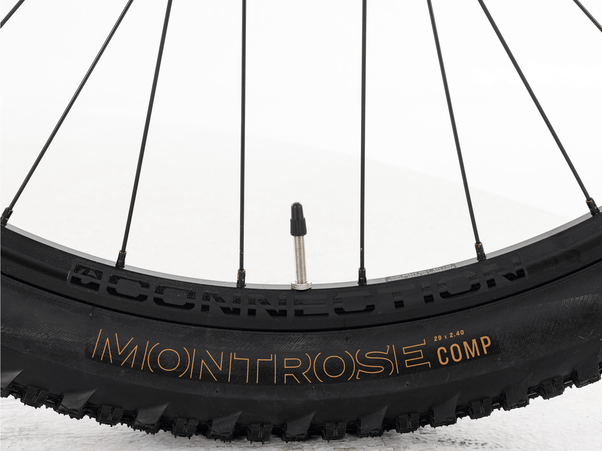 Marlin+ 6 - 2026, Large