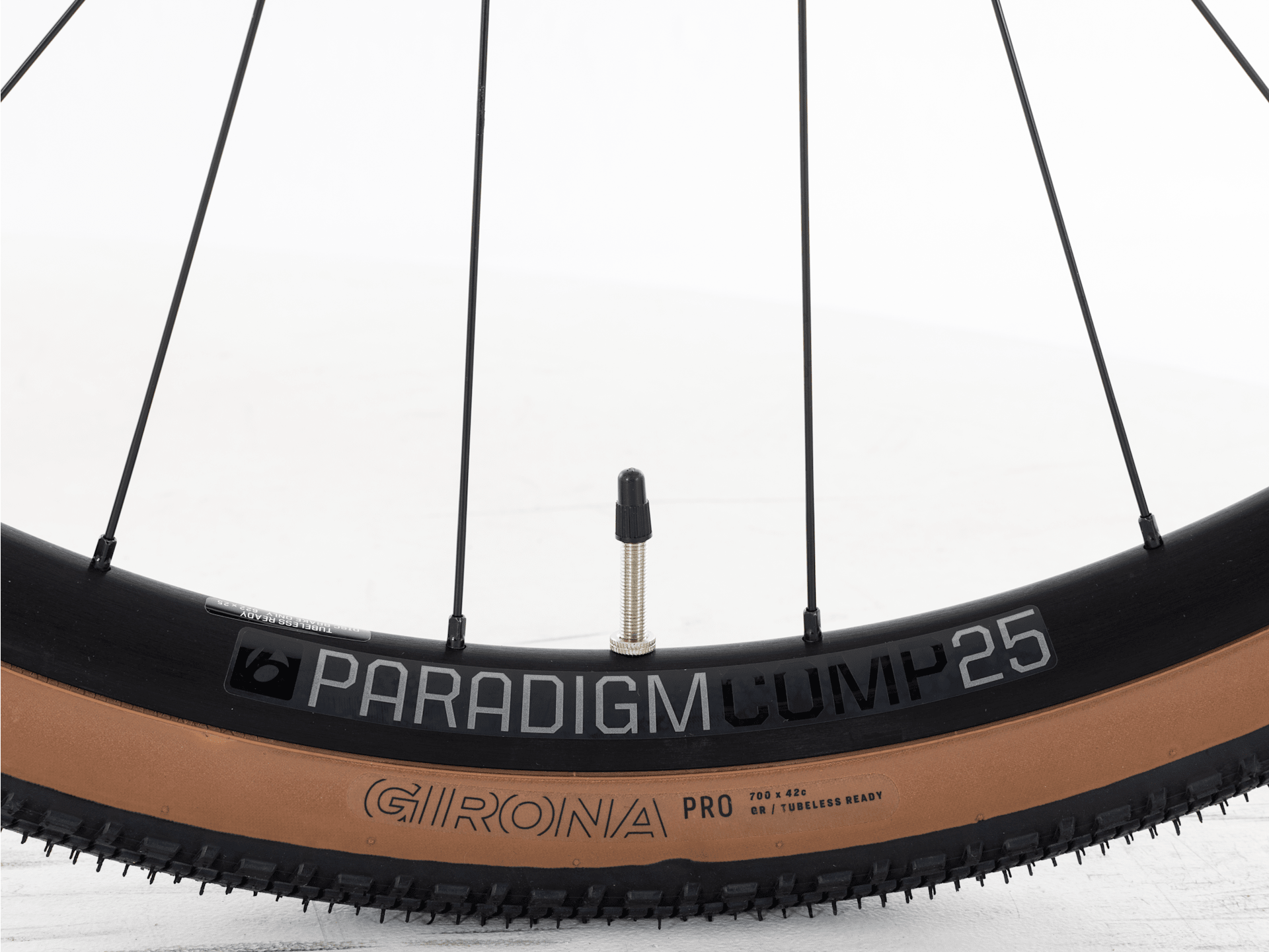 Checkpoint+ SL 5 - 2026, Medium/Large