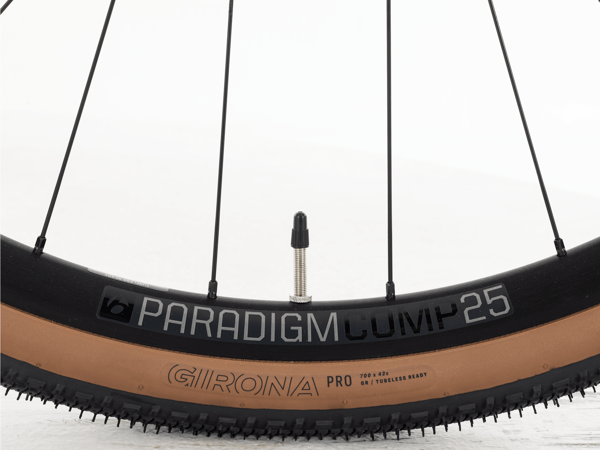 Checkpoint+ SL 5 - 2026, Medium/Large