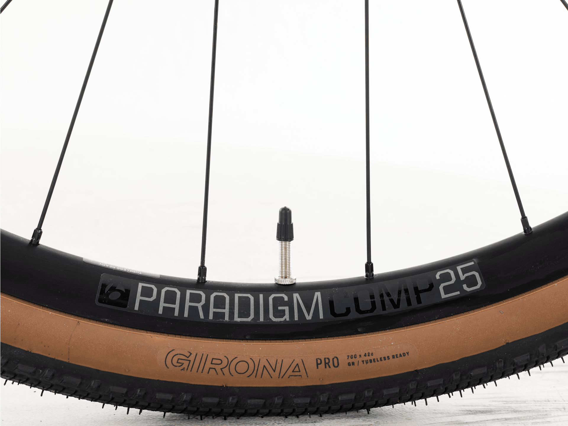 Checkpoint+ SL 5 - 2026, Large