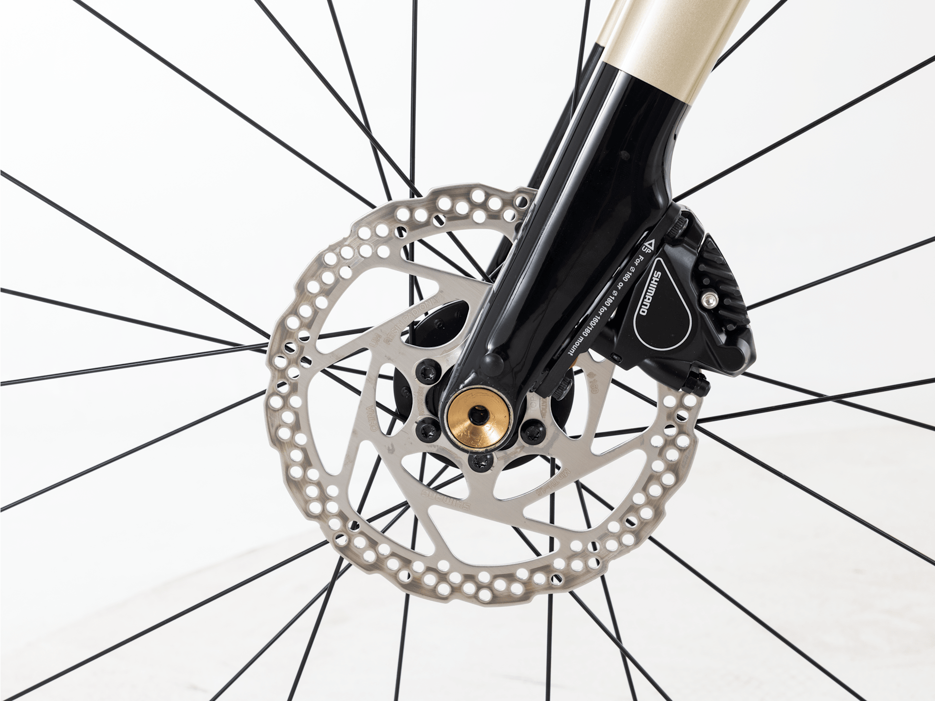 Domane AL 4 Gen 4 - 2027, 54cm