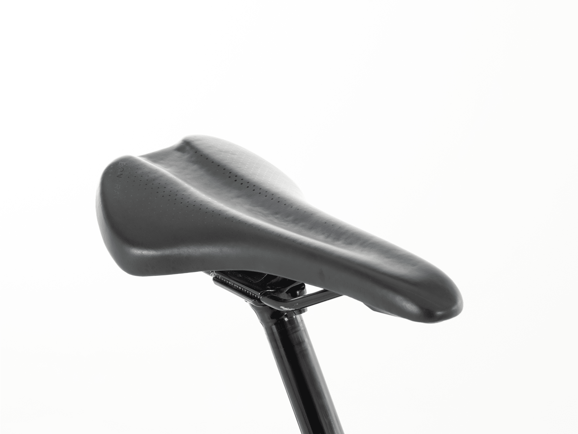 Slash 9.8 - 2019, Large