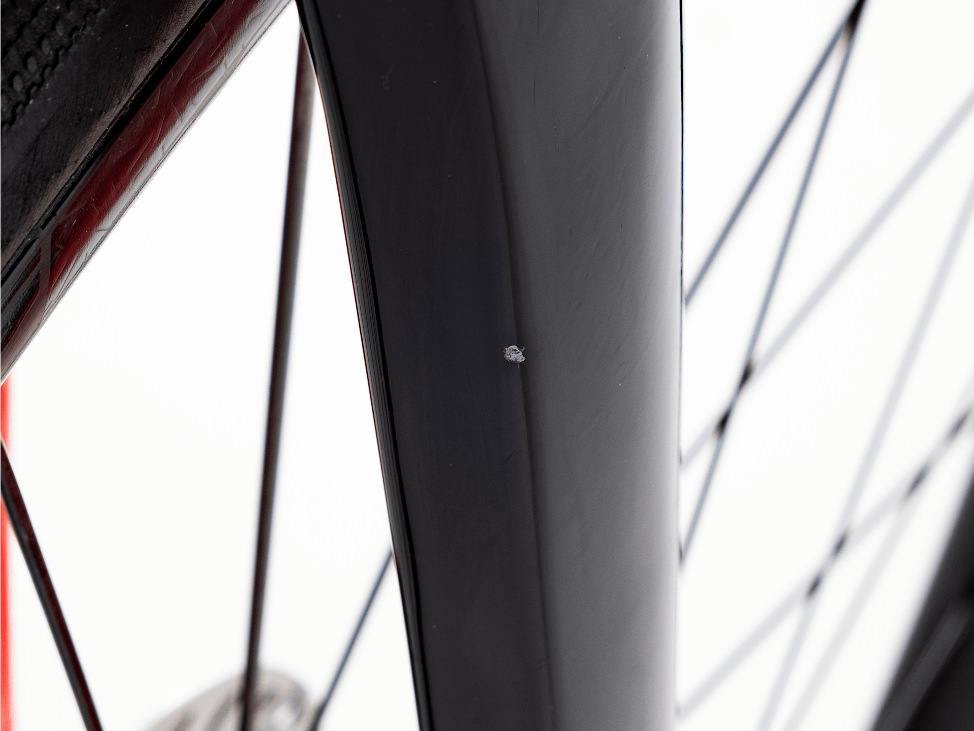 Domane+ LT Gen 1 - 2021, 56cm