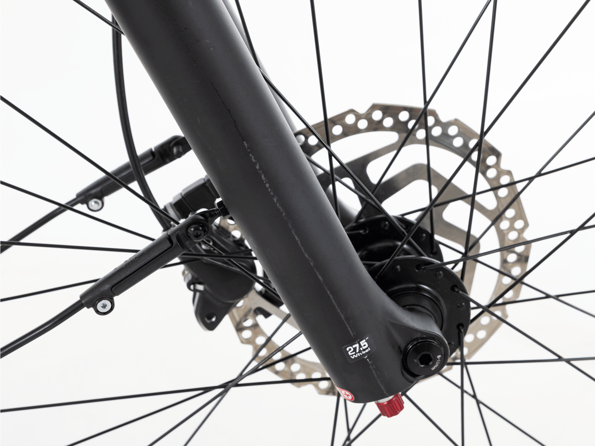 Allant+ 7 - 2023, Large