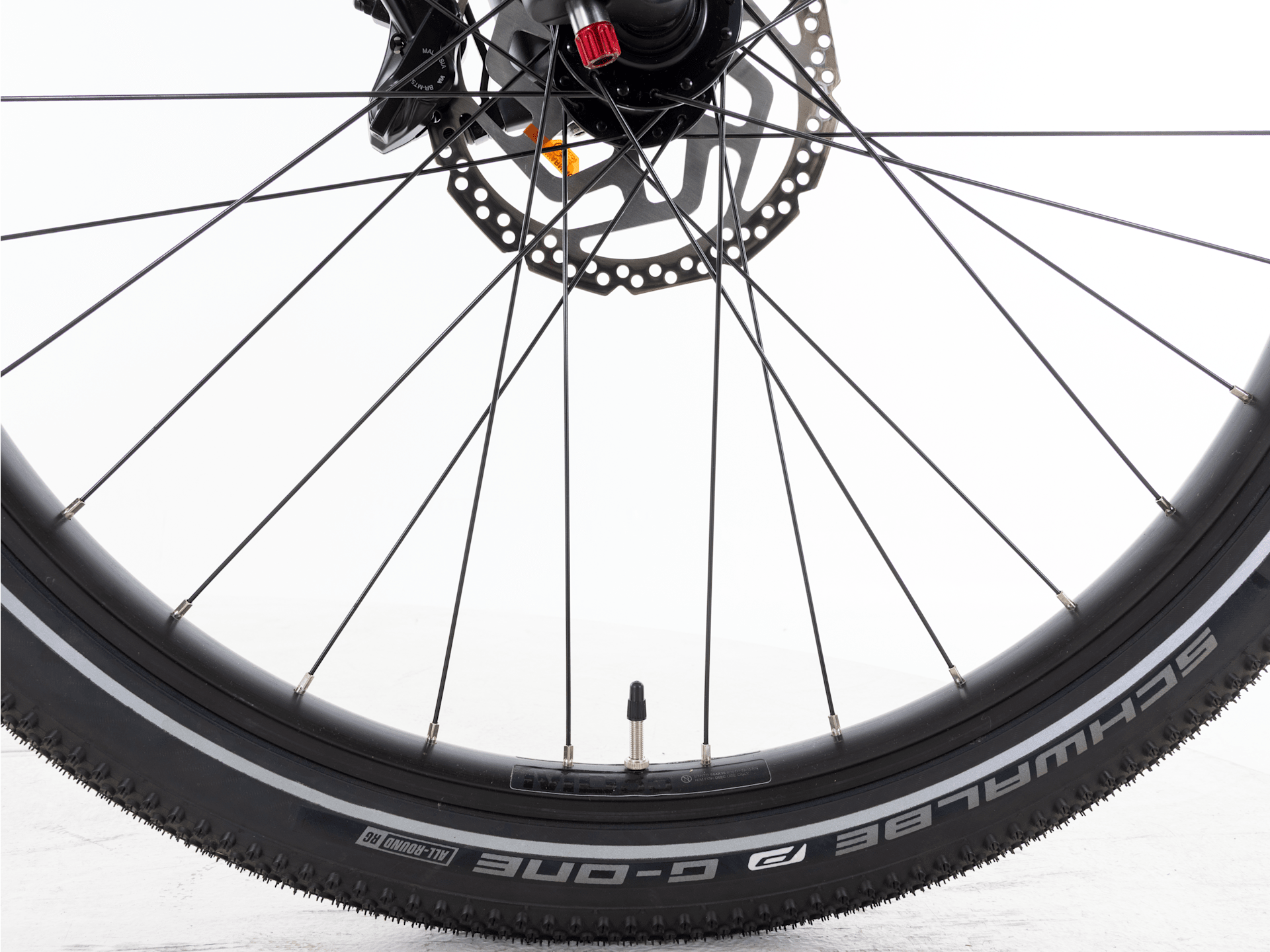 Allant+ 7S - 2023, Large