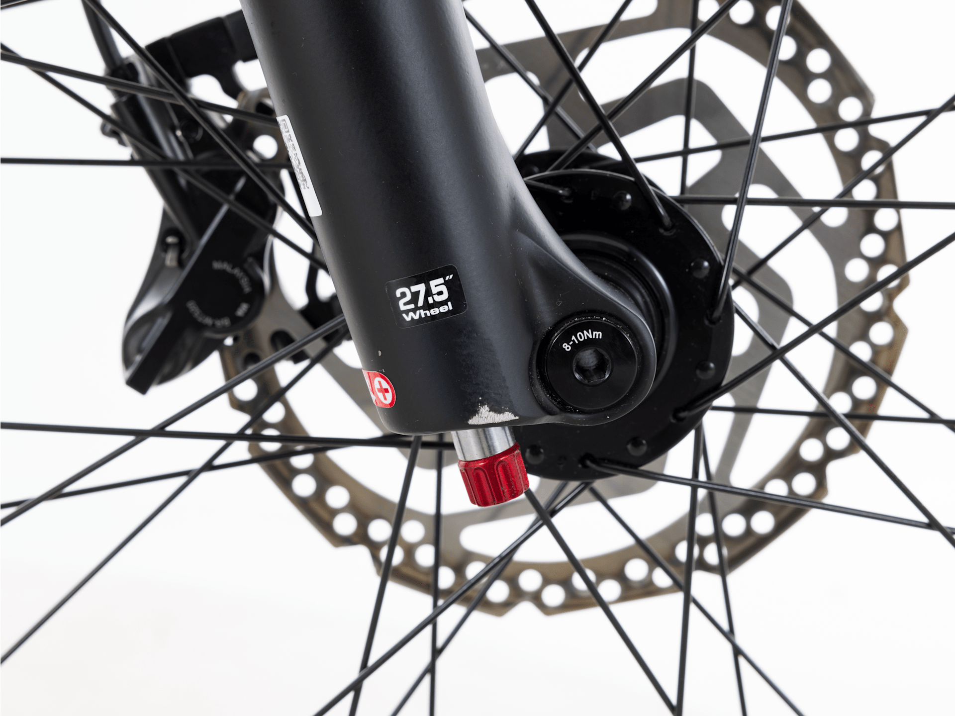 Allant+ 7S - 2023, Large