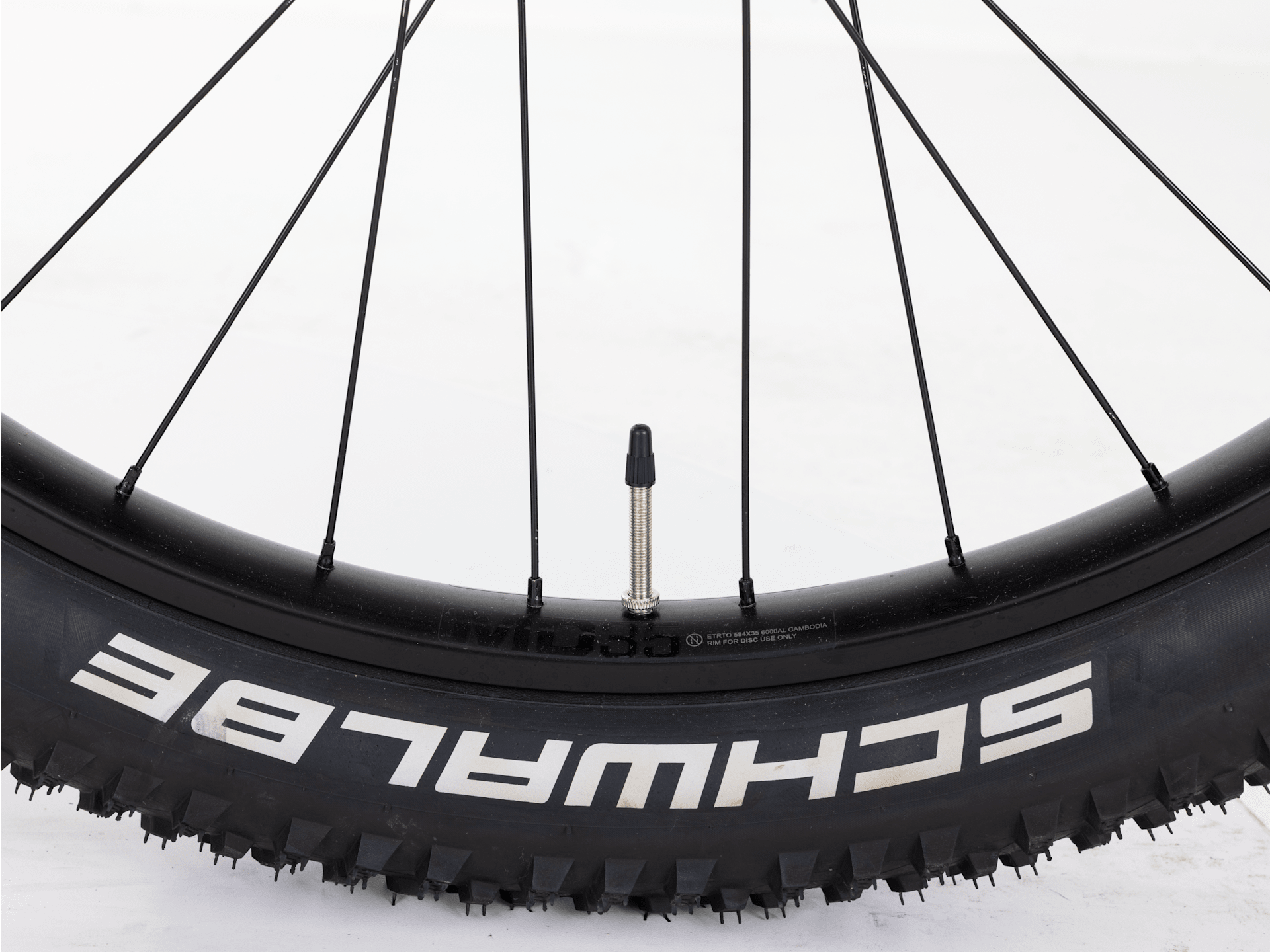 Roscoe 6 - 2023, Small