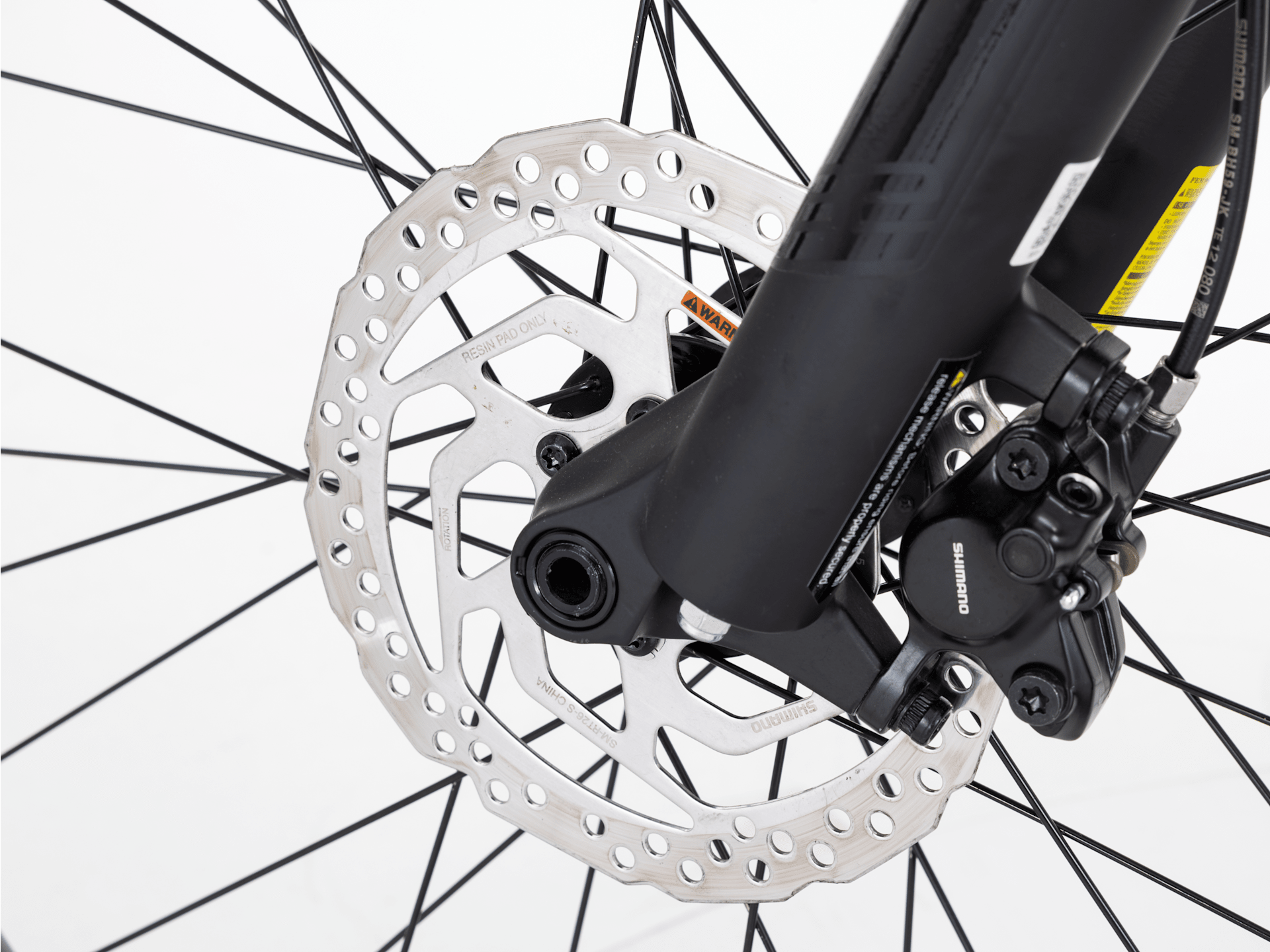 Roscoe 6 - 2023, Small