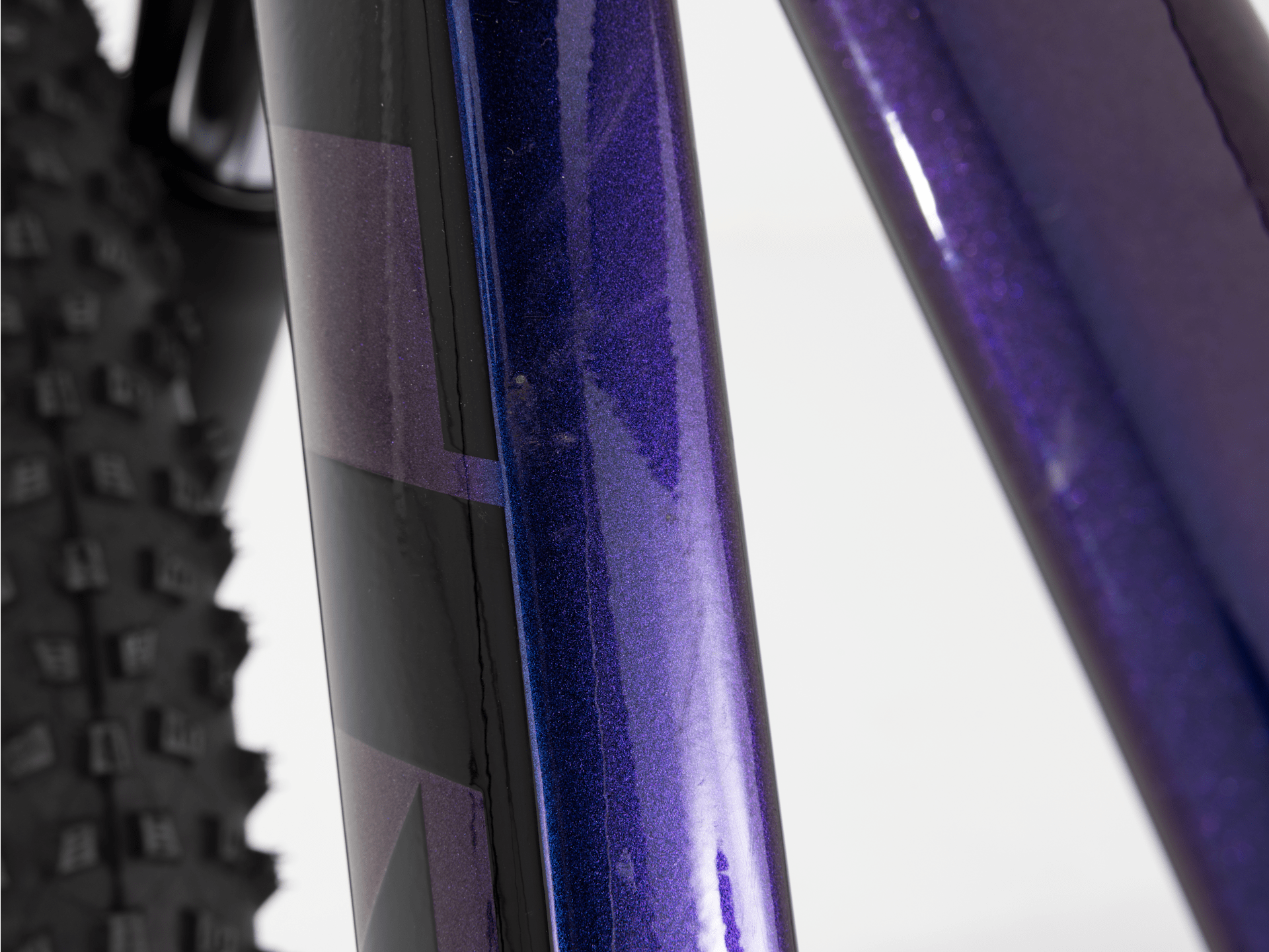 Roscoe 6 - 2023, Small