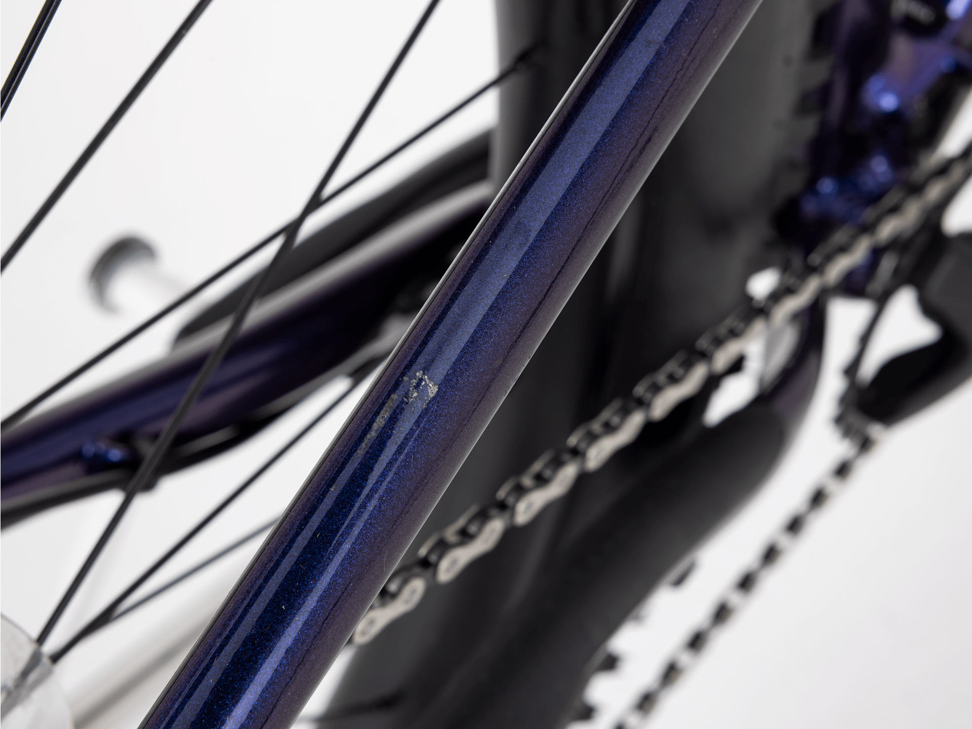 Roscoe 6 - 2023, Small