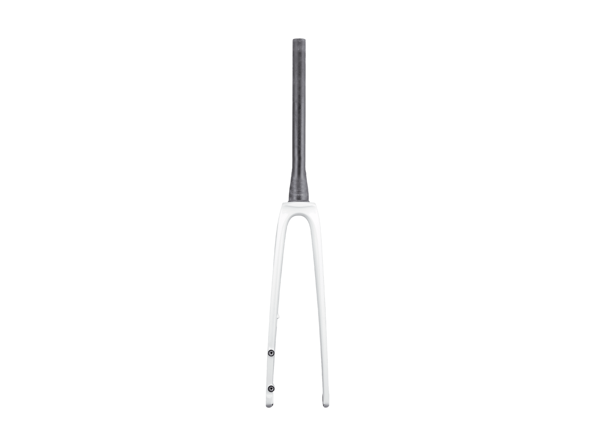 Trek 2021 Madone SL 6 700c Rigid Fork