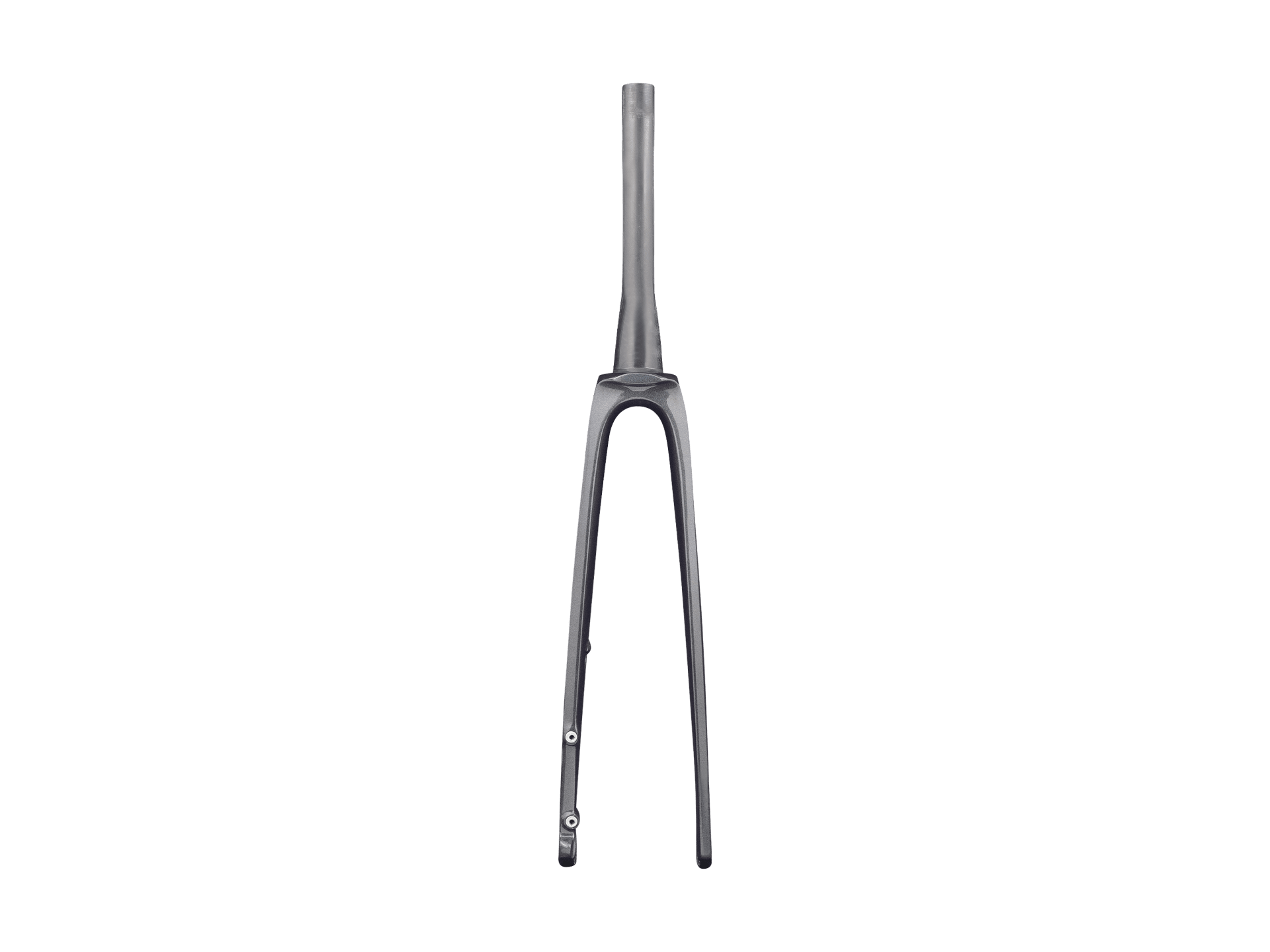 Trek 2021 Madone SLR Forks
