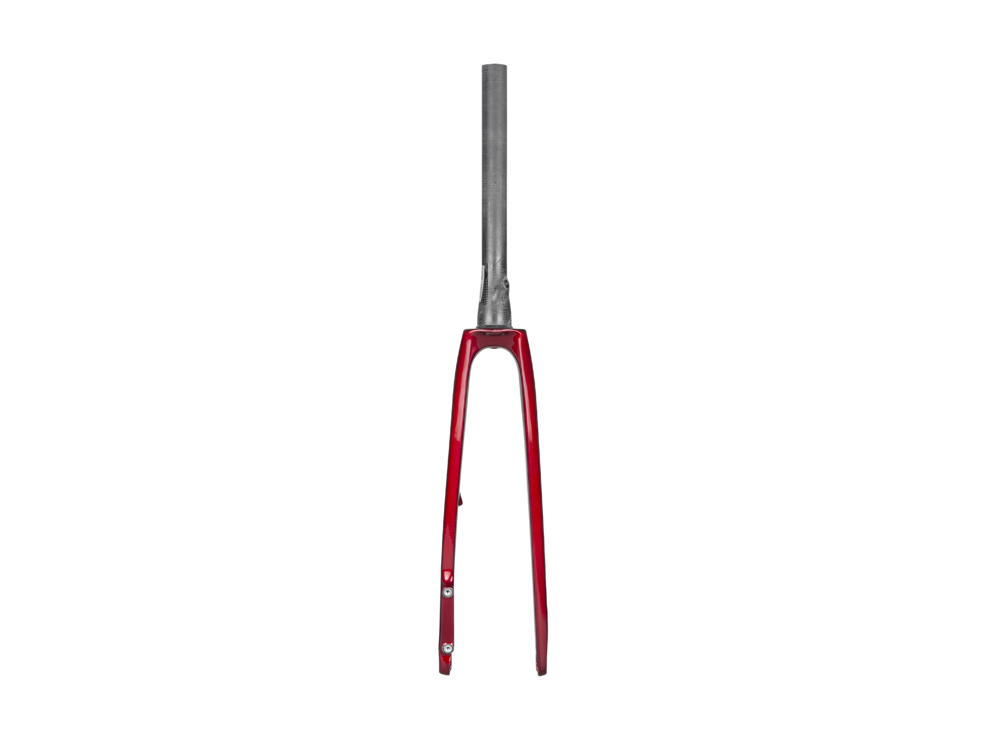 Trek 2022 Domane SL 5 Forks