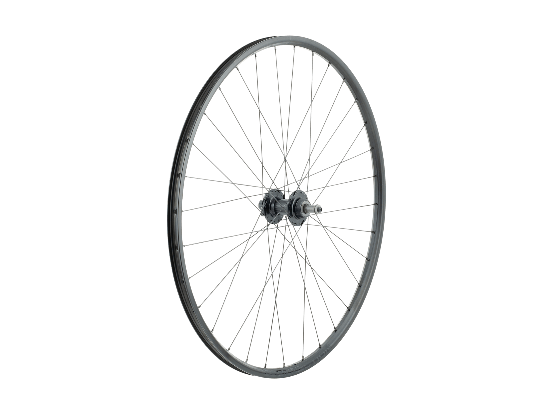 Trek Connection Schrader 29˝ 6-Bolt Disc MTB Wheel