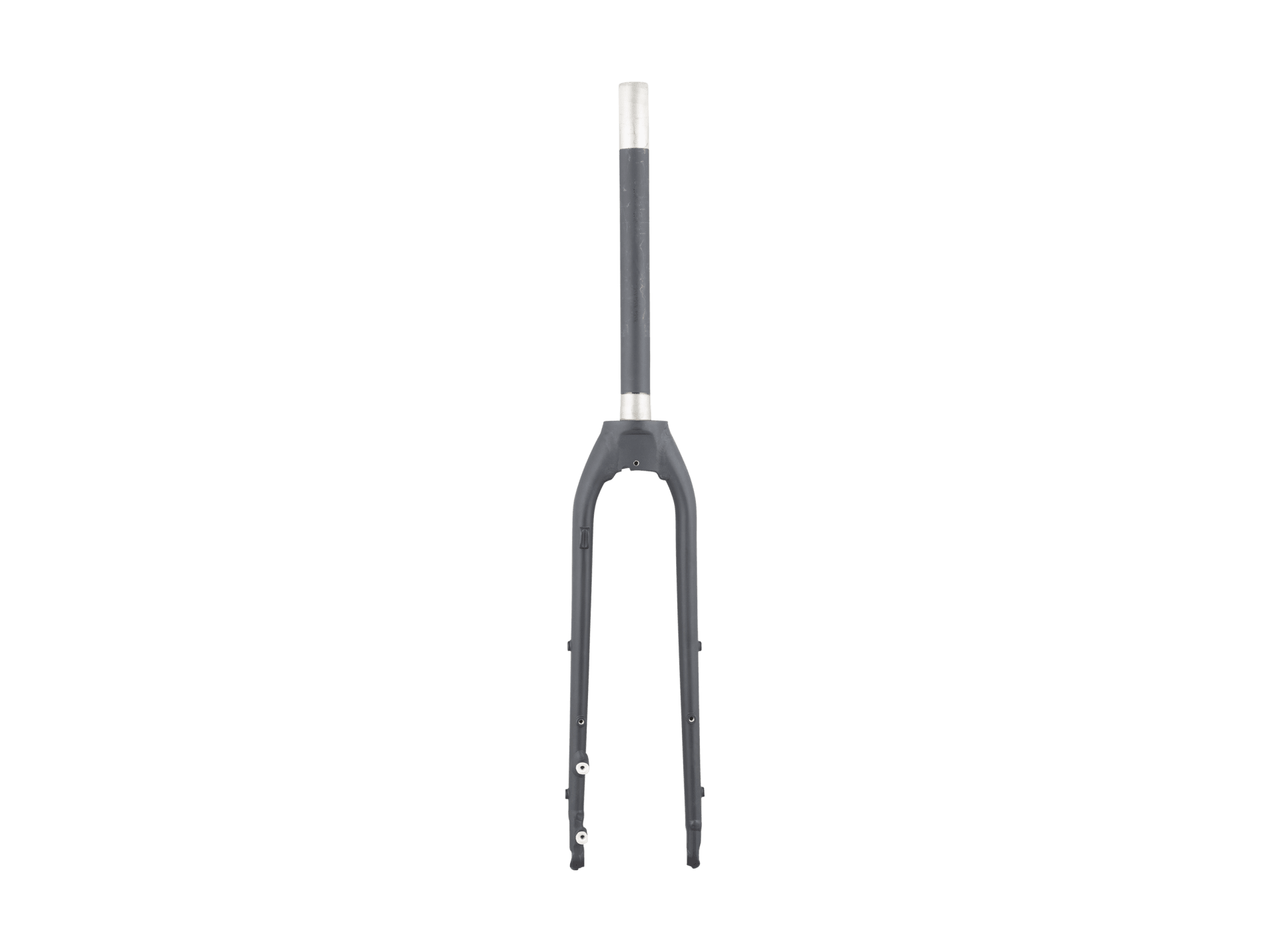 Trek-Diamant 2023 Rubin Legere Fork