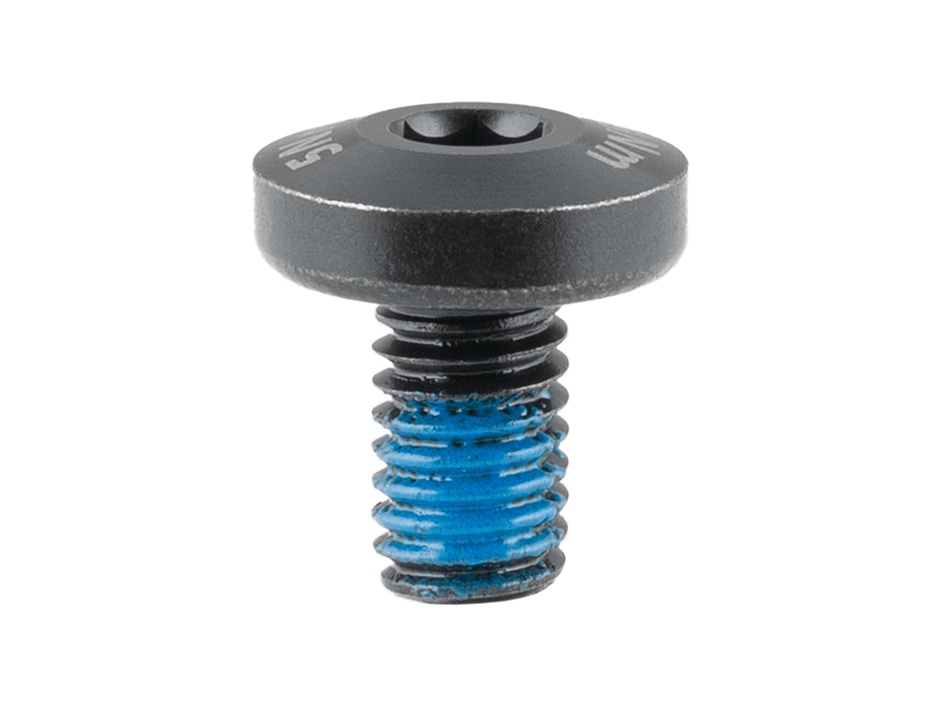 Trek Domane+ ALR M6x1.0x10mm Battery Bolt