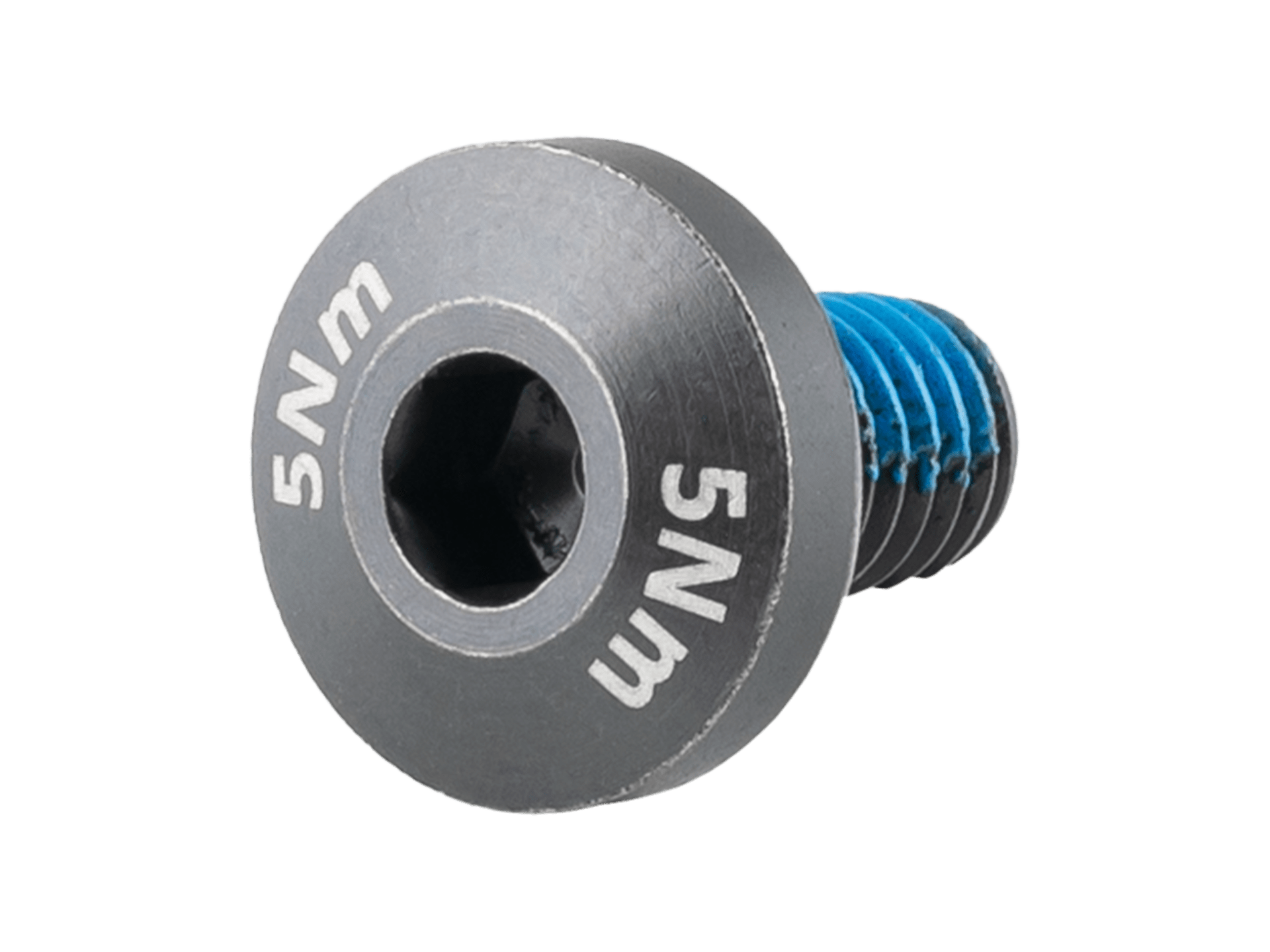 Trek Domane+ ALR M6x1.0x10mm Battery Bolt