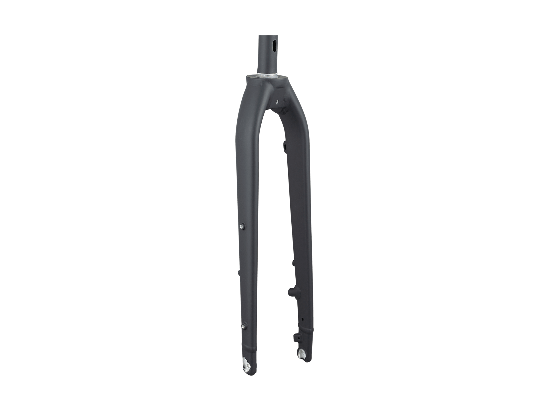 Trek Dual Sport 2 Thru-Axle 29˝ Rigid Fork