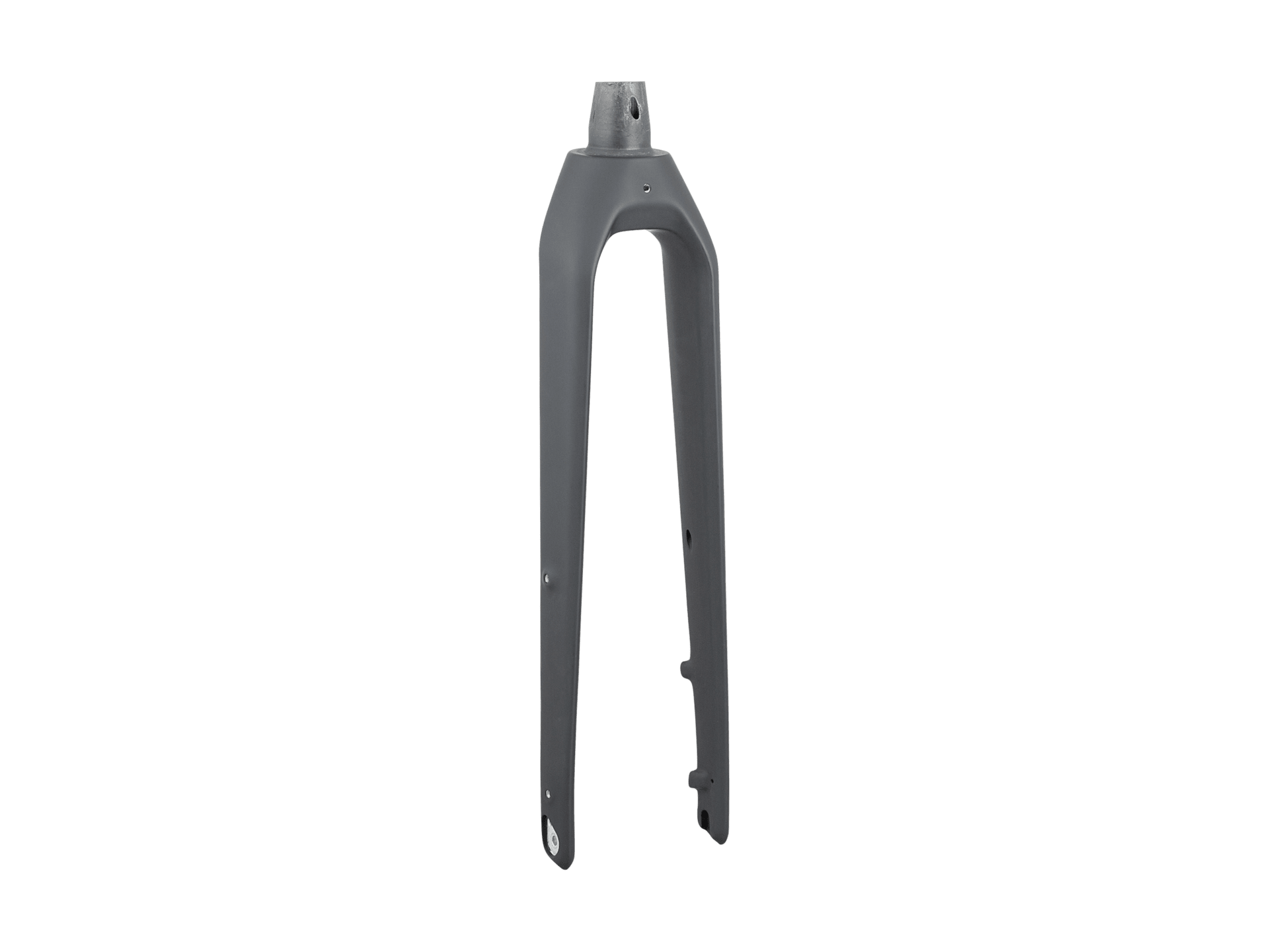 Trek Dual Sport 3 Thru-Axle 29˝ Rigid Fork