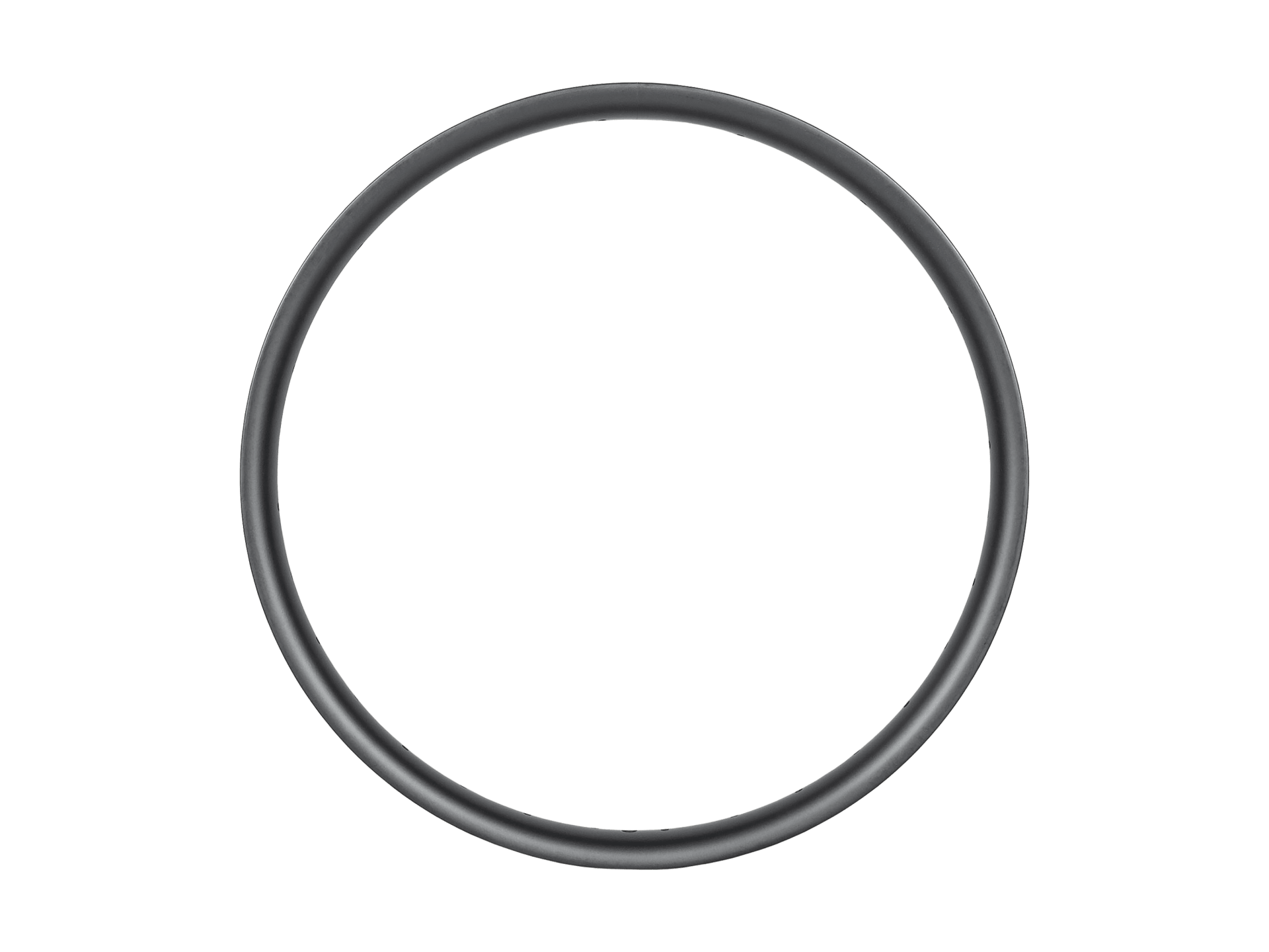 Trek Fetch+ Rim