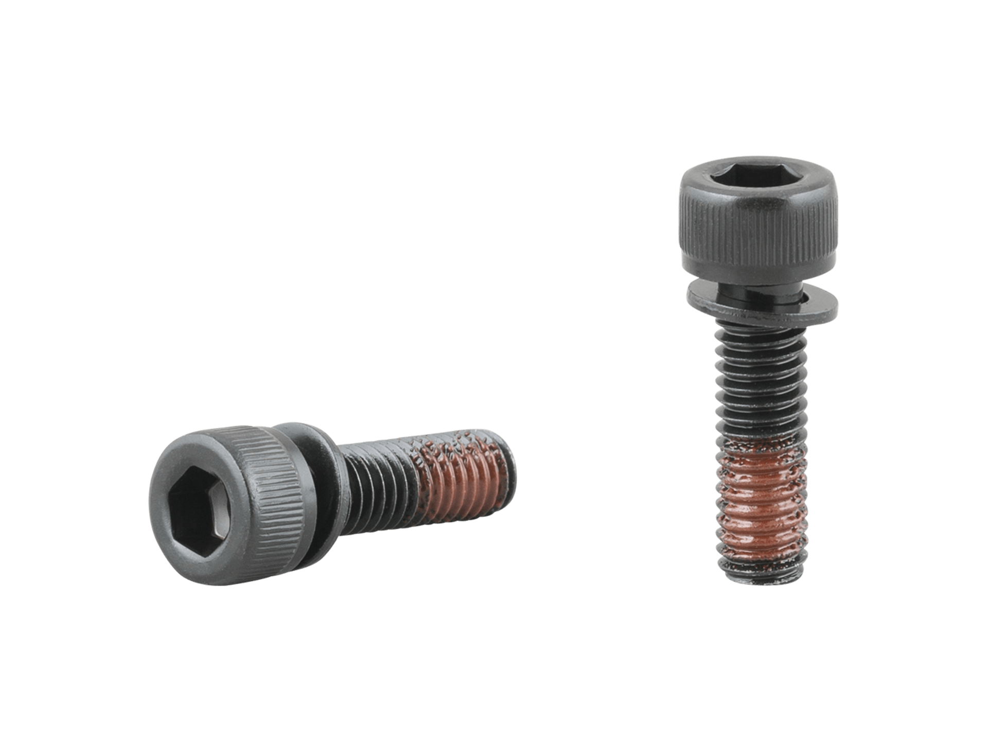 Trek Speed Concept Flippable Head Bolts