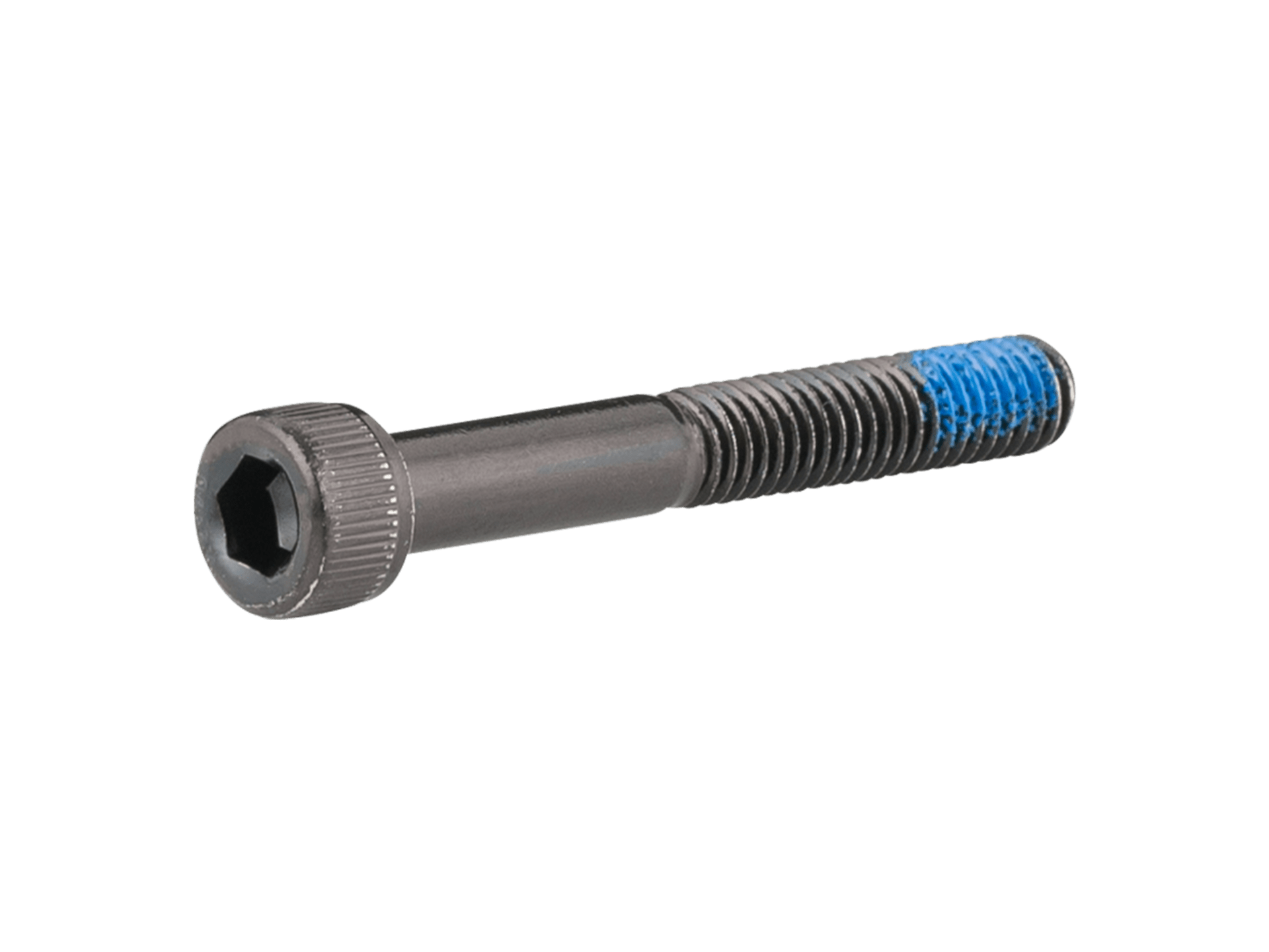 Trek M6x1 Socket Head Cap Screws