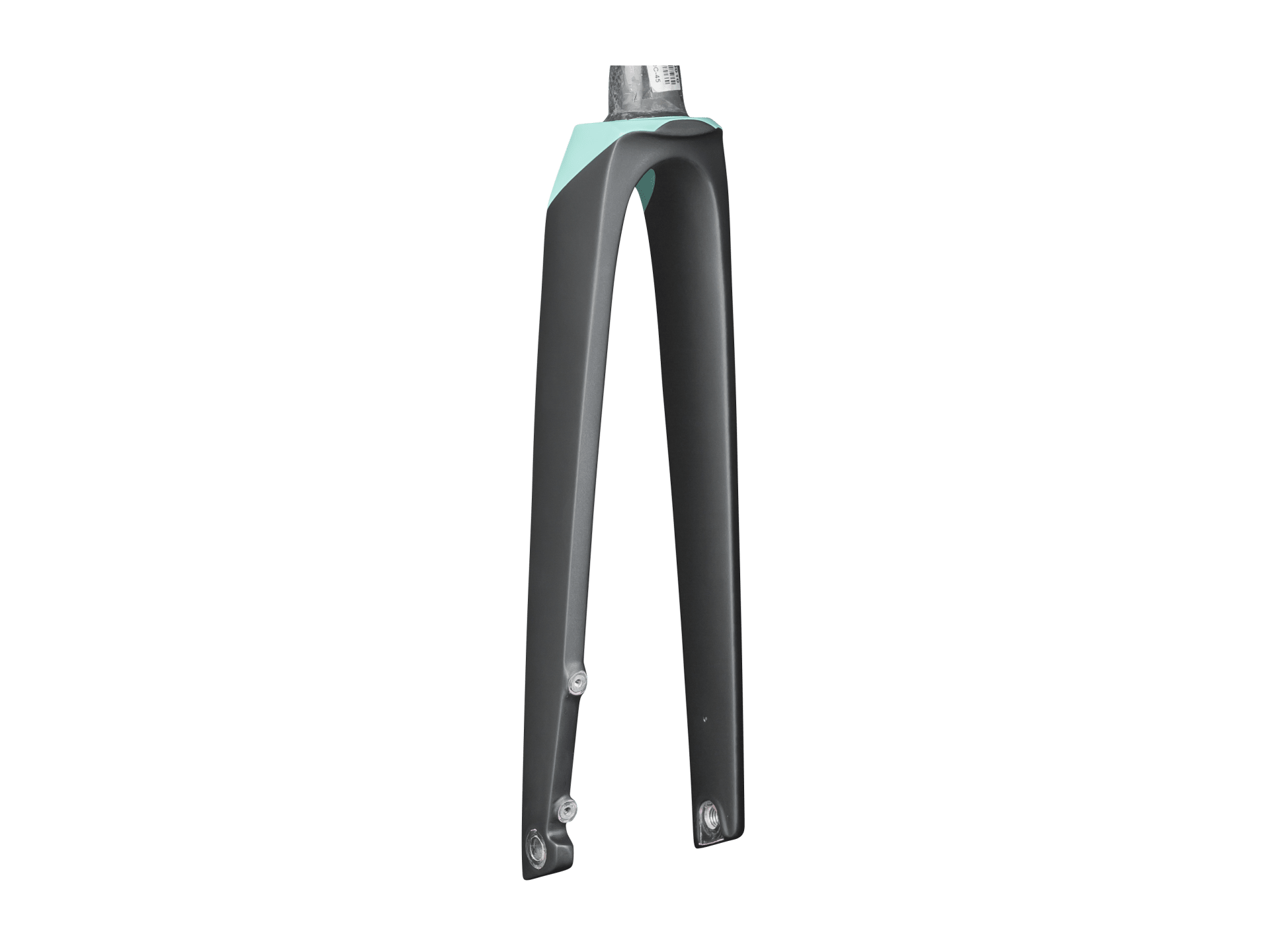 Trek Madone SLR Women's 700c Disc Rigid Forks