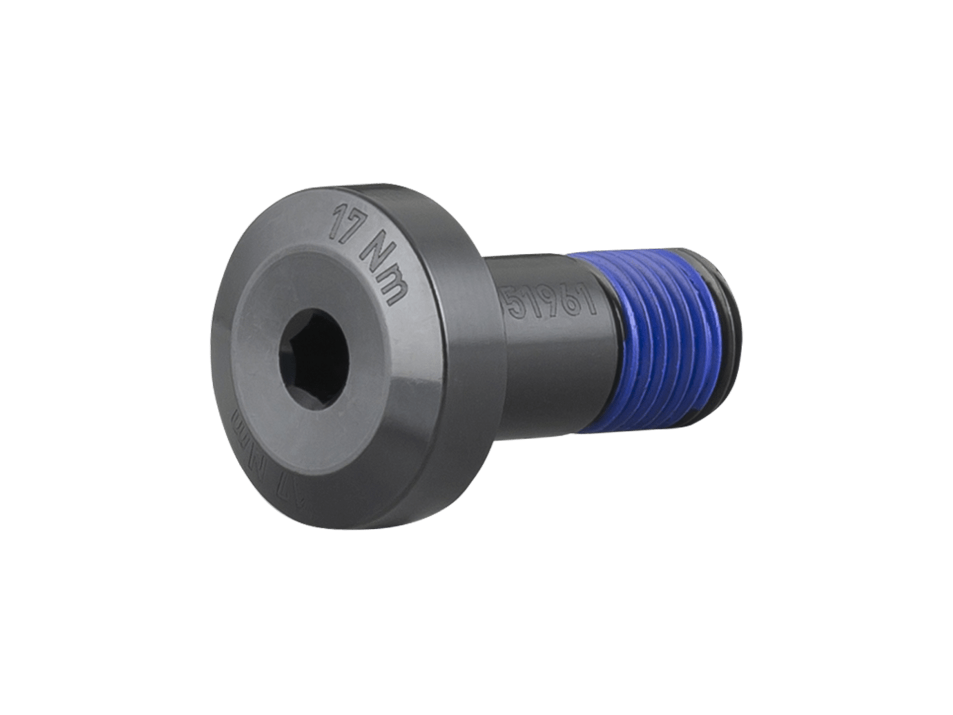 Trek 2022 Session 29 Idler Pulley Bolt