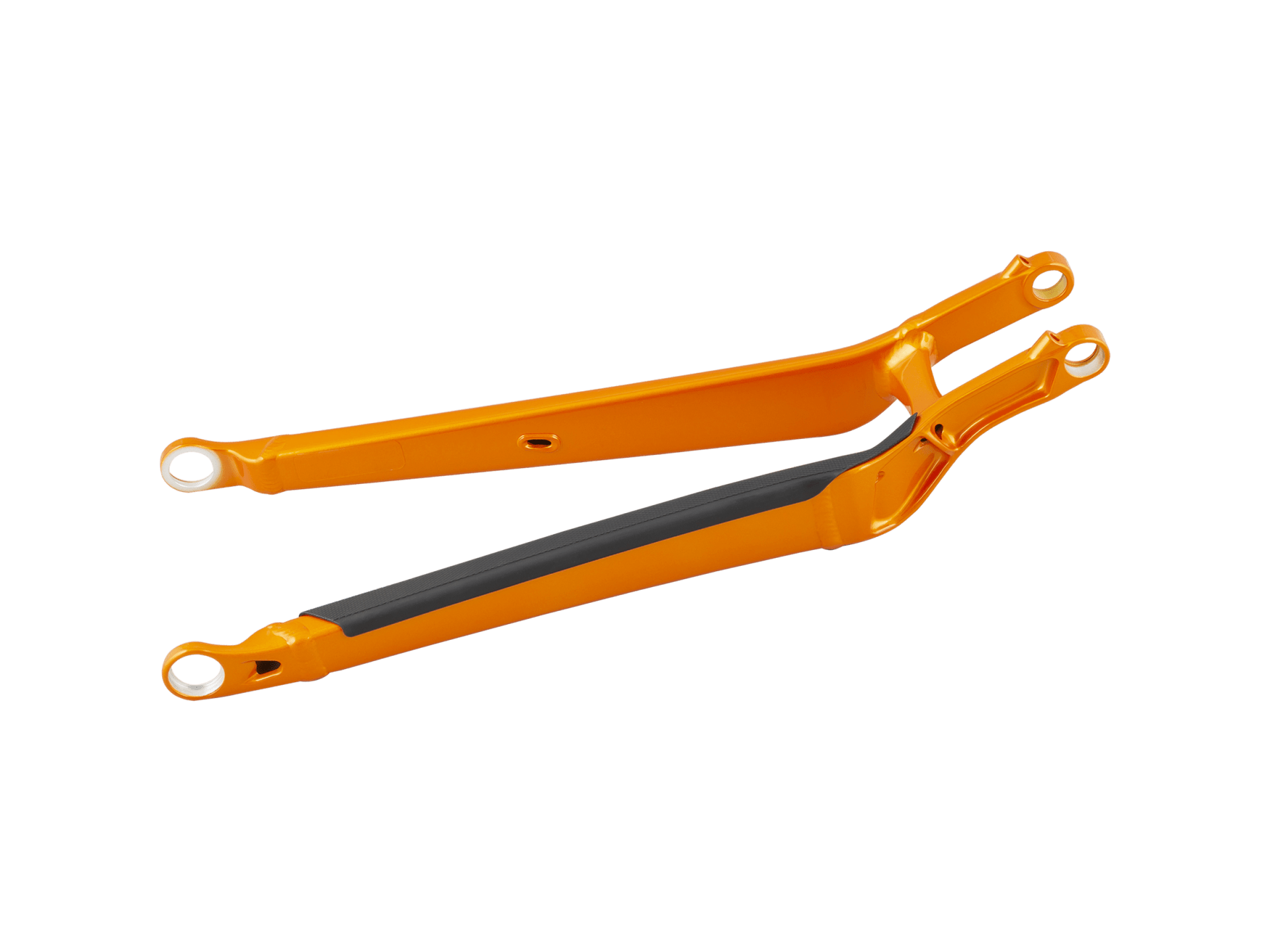 Trek 2020-2021 Top Fuel 29 Aluminum Chainstay