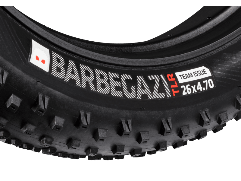 Barbegazi tire cheap