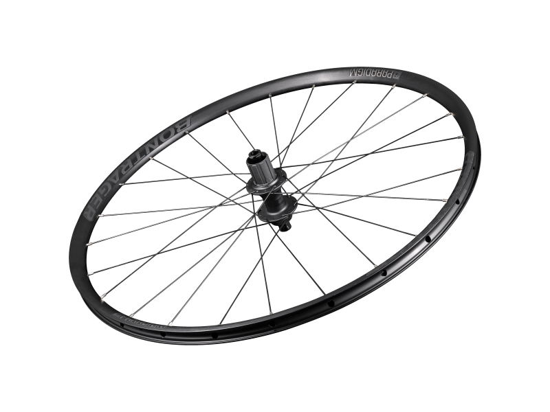 Trek sales paradigm wheels
