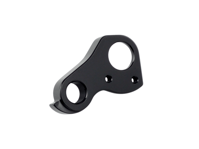 Trek mt 220 derailleur hanger top