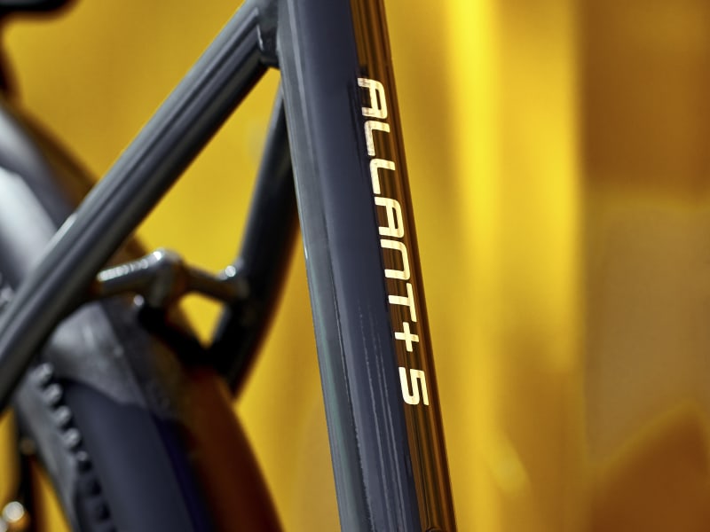 Trek allant+ sales 5 2021