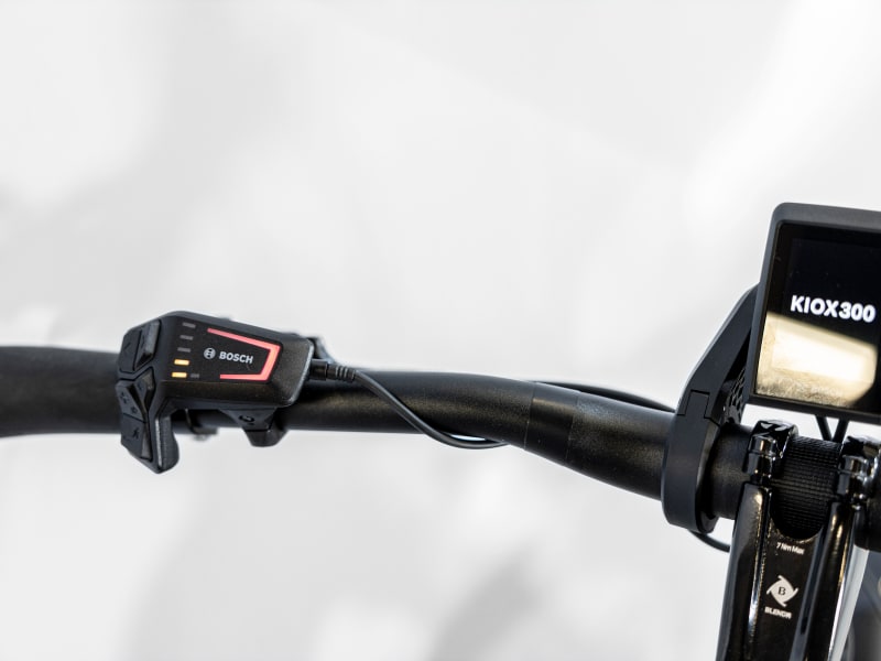 Trek bikes under 300 discount