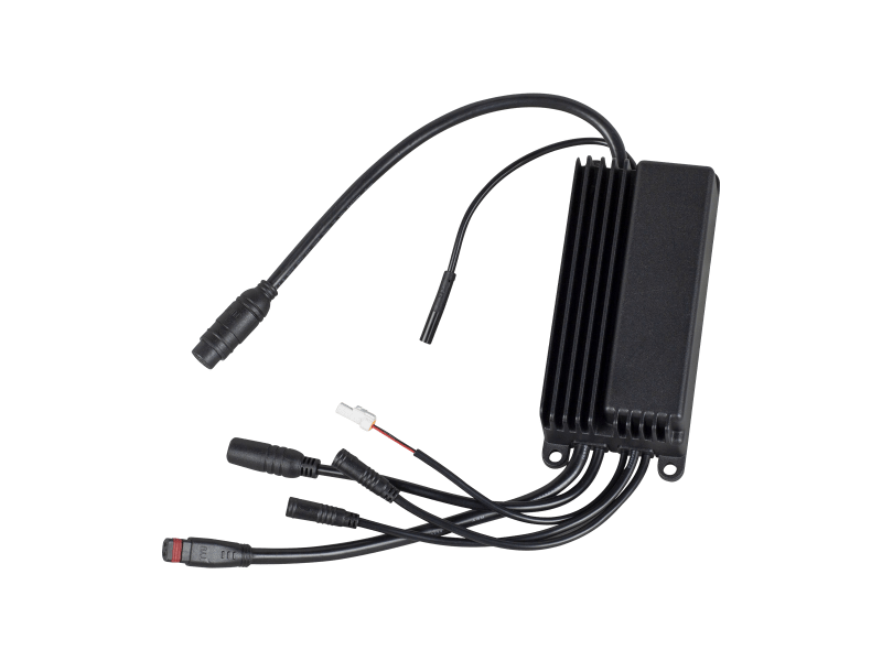 Pedal assist discount controller