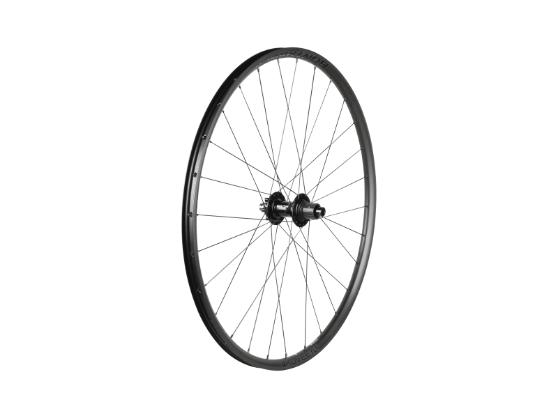 Bontrager mustang elite tubeless ready clearance