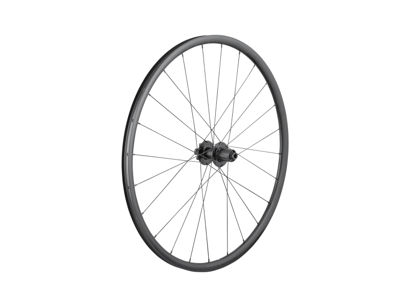 Bontrager Paradigm SL 6-Bolt Disc 24H 700c Road Wheel - Trek Bikes
