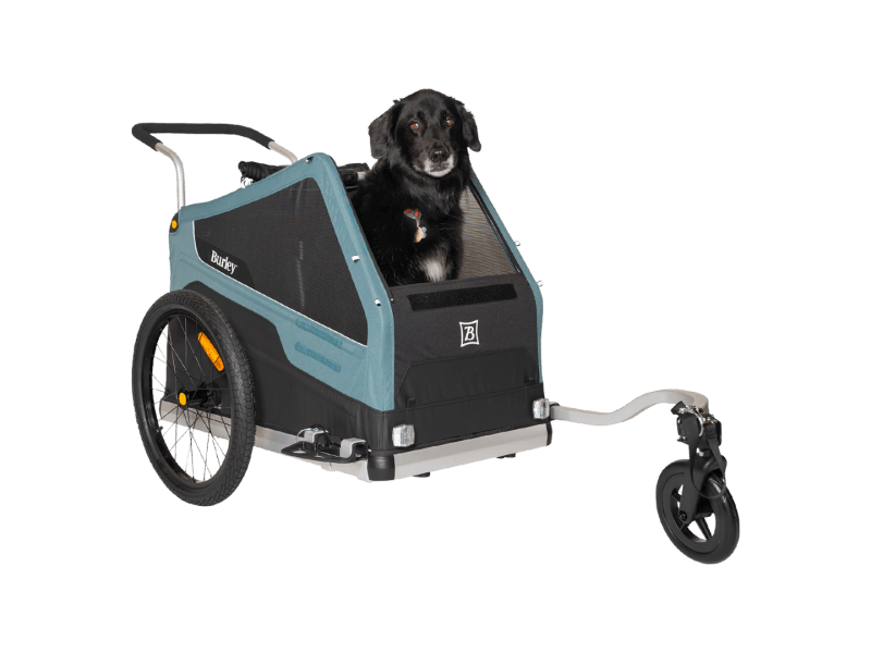 Dog carriage for bike best sale