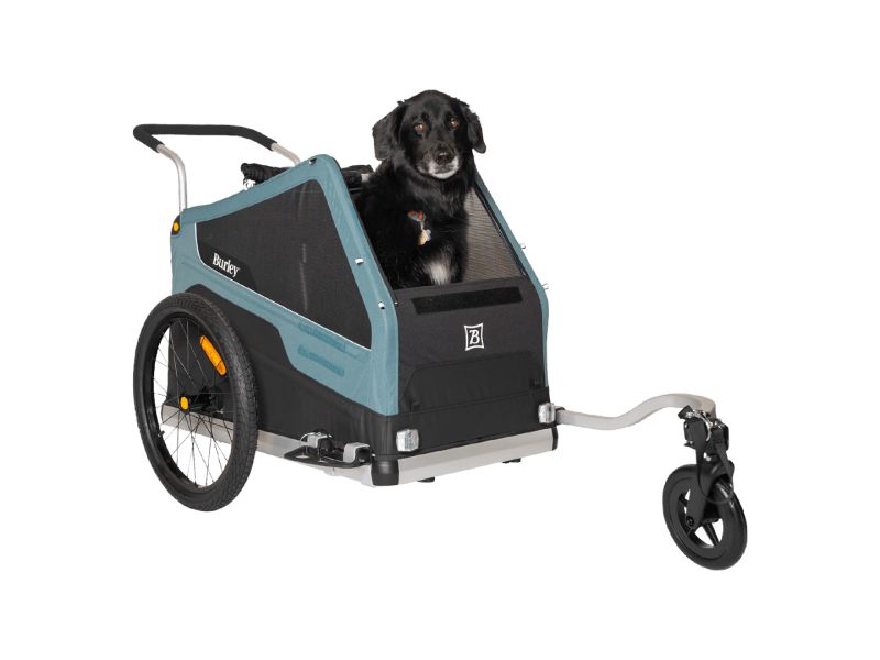 Trek cheap dog trailer