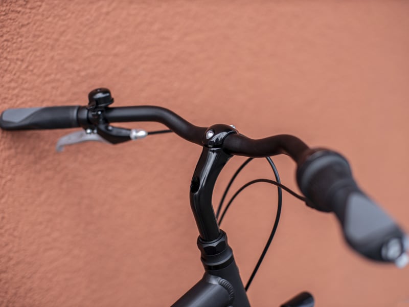 Trek district store bike