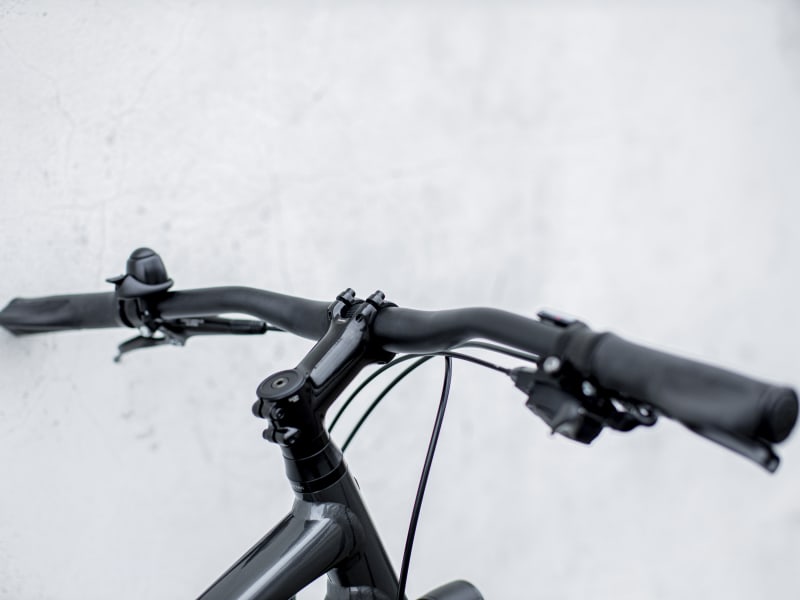 Trek belt drive bike top