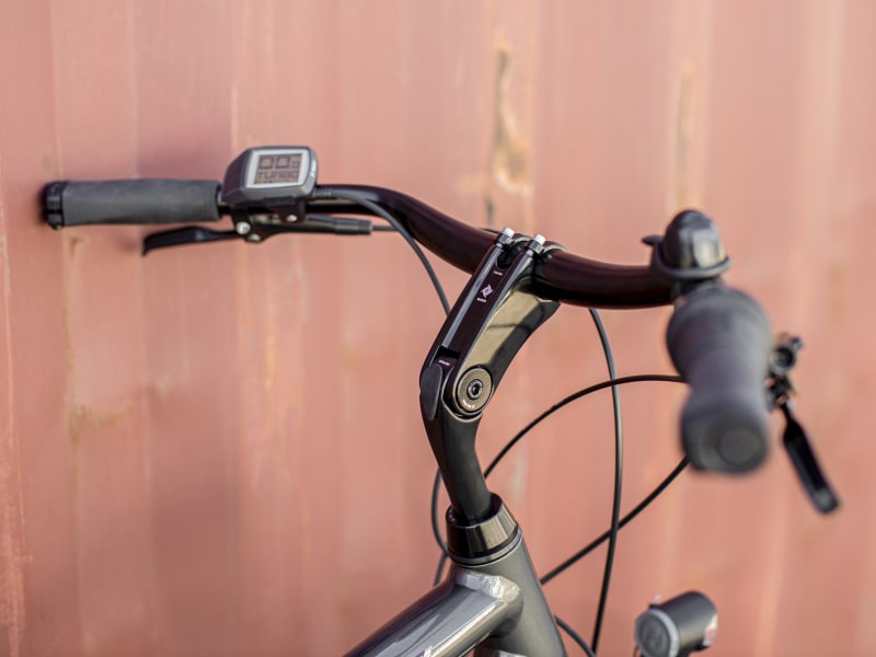Trek cheap district bike