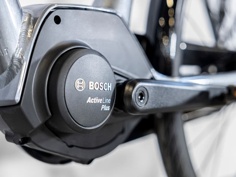 Bosch active top line plus 2019