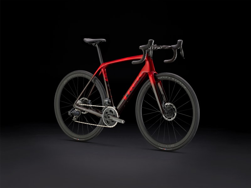 Trek new arrivals domane srl7